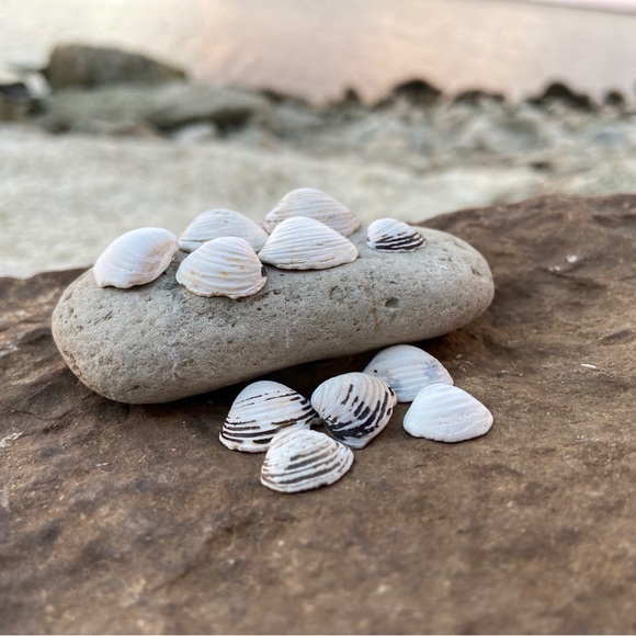 nikkig002